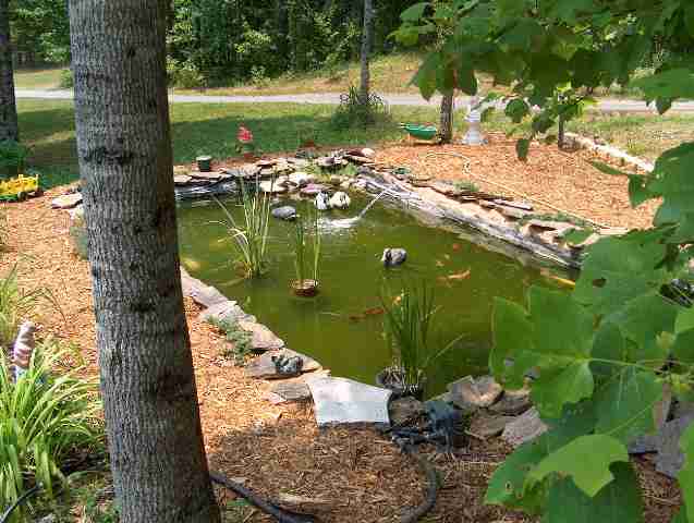 237 Turkey Run Pickens, SC 29671 - Photo 8 of 8 Gallery Image 8