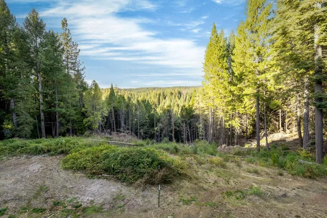 a kitchen with stainless steel appliances granite countertop a dining table chairs and granite counter tops