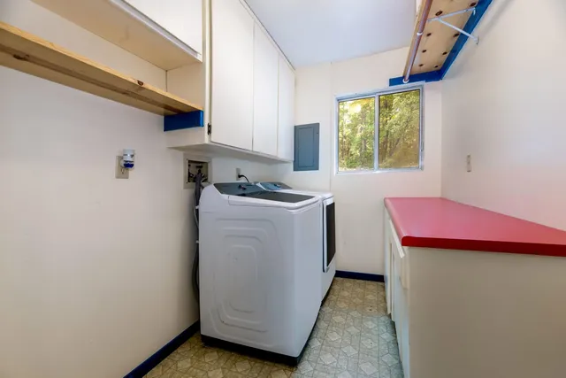 a view of a forest with a street