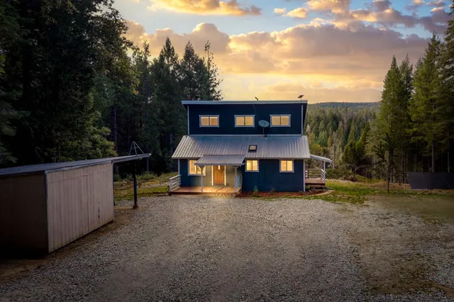 a view of a bunch of trees and bushes