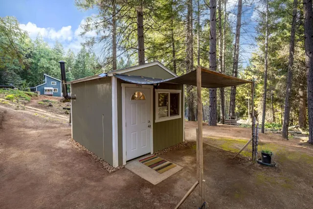 a plant with a plant