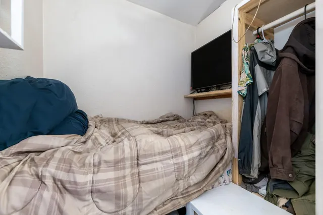 a view of a forest with trees