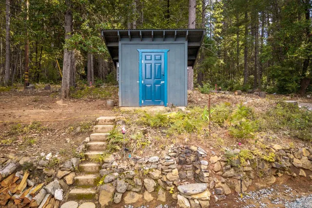 a view of a forest with trees in the background