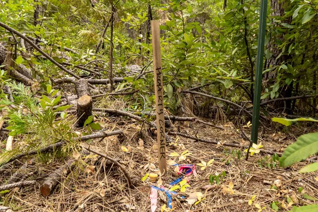 $399,000 | 2051 Ridge Road, North San Juan, CA 95960