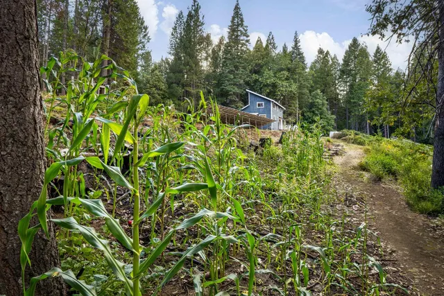 $399,000 | 2051 Ridge Road, North San Juan, CA 95960