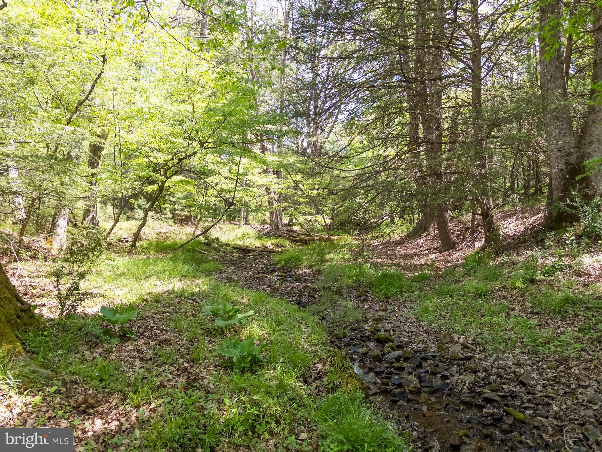 0 Mccarty Lane Dunmore, WV 24934 - Photo 7 of 19