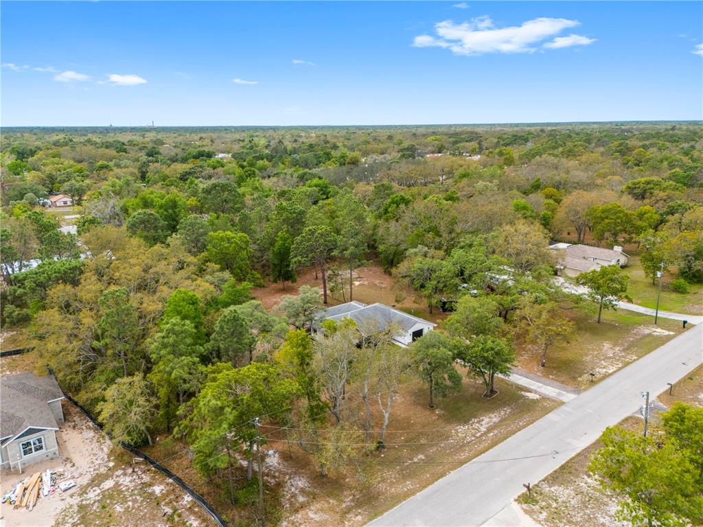 16620 Kerry Hills Lane Spring Hill, FL 34610 - Photo 40 of 50