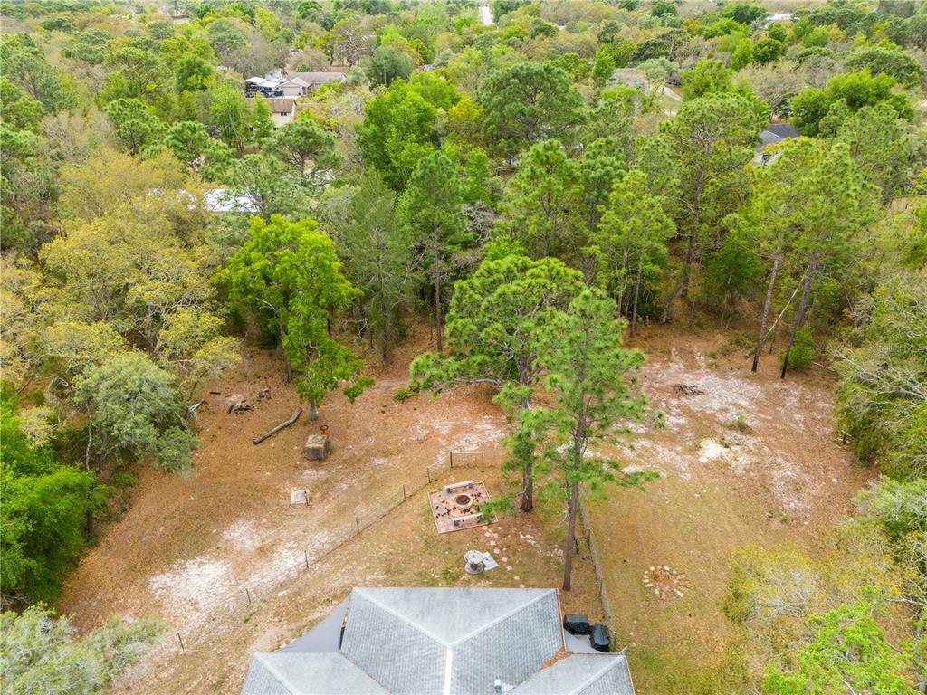 16620 Kerry Hills Lane Spring Hill, FL 34610 - Photo 42 of 50