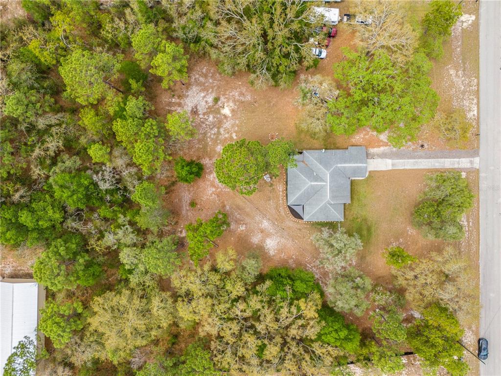 16620 Kerry Hills Lane Spring Hill, FL 34610 - Photo 46 of 50