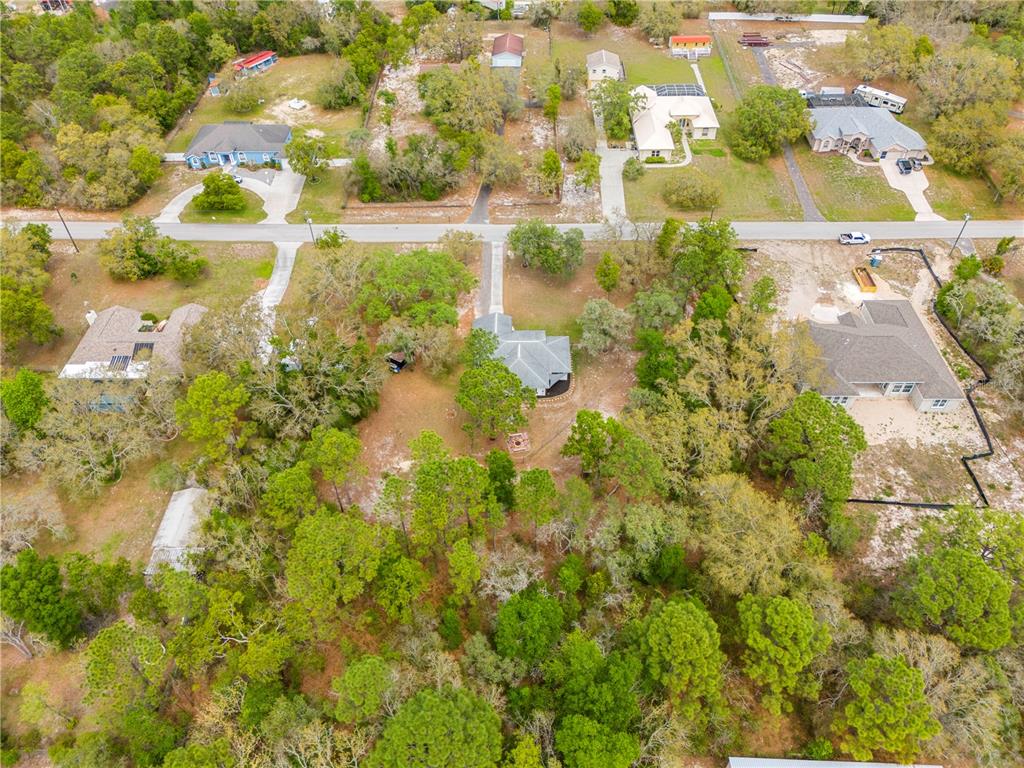 16620 Kerry Hills Lane Spring Hill, FL 34610 - Photo 47 of 50