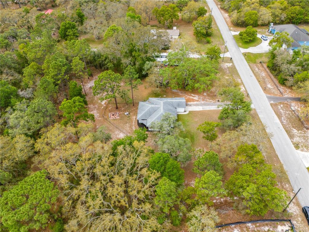 16620 Kerry Hills Lane Spring Hill, FL 34610 - Photo 49 of 50