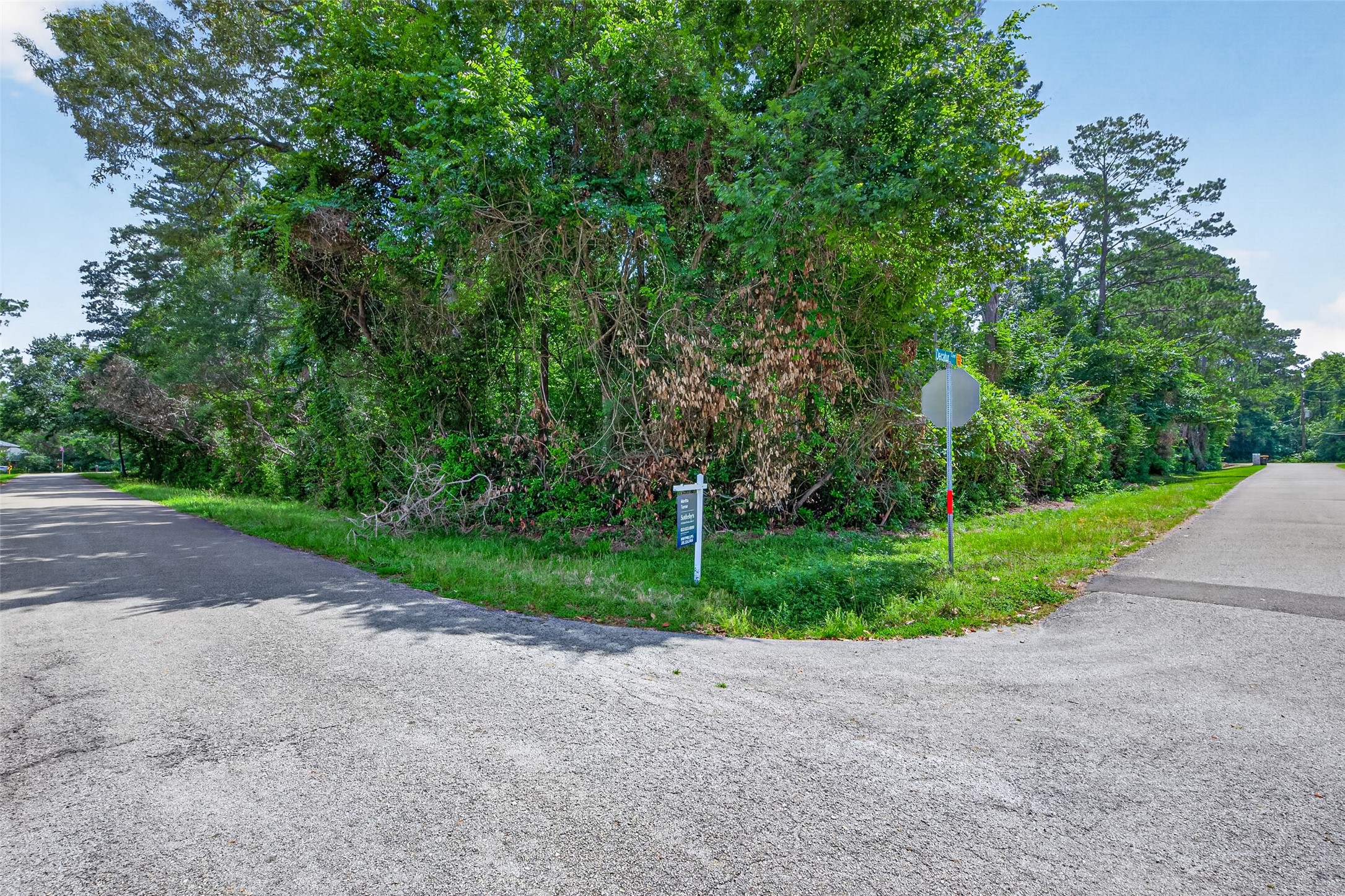 2407 Decatur Court Conroe, TX 77384 - Photo 1 of 12 Large Corner Lot 20,000 Sq Ft