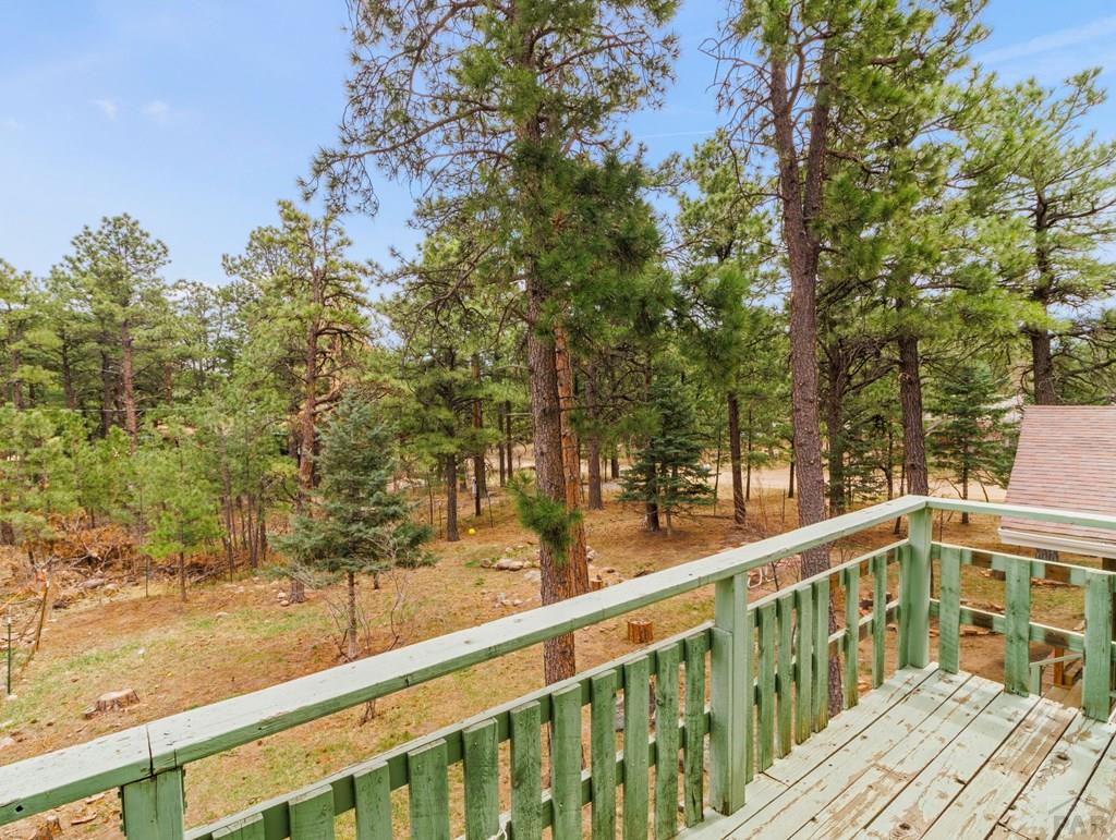 8145 Birch Drive Rye, CO 81069 - Photo 33 of 44