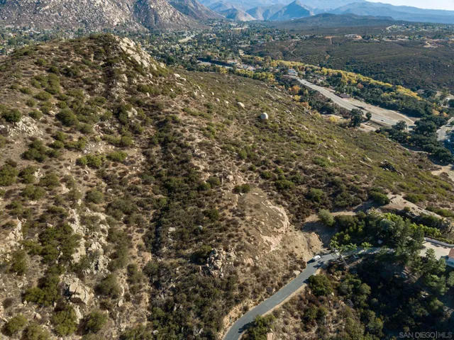 a view of a forest with a mountain