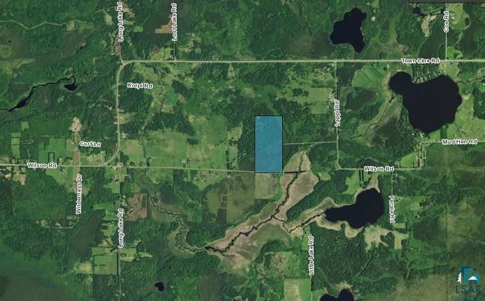Tbd Wilson Road Makinen, MN 55763 - Photo 13 of 14