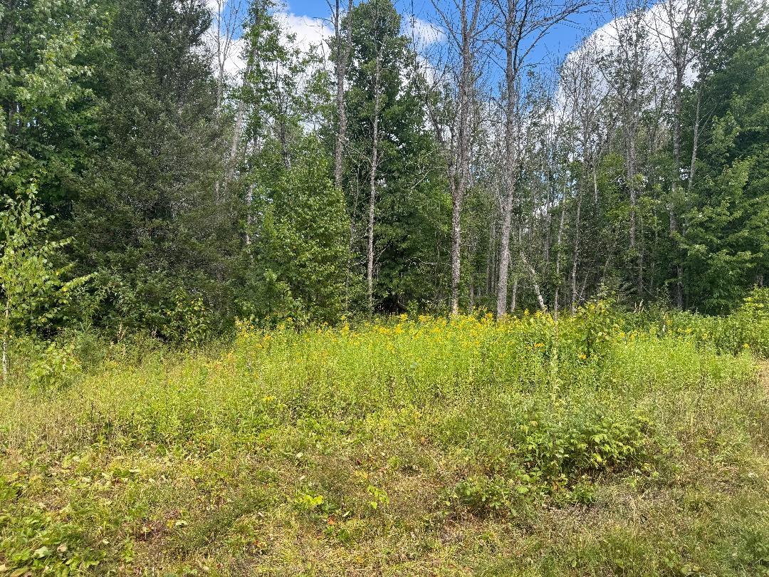 4074 W Weber Road Mercer, WI 54547 - Photo 26 of 27 Gallery Image 26