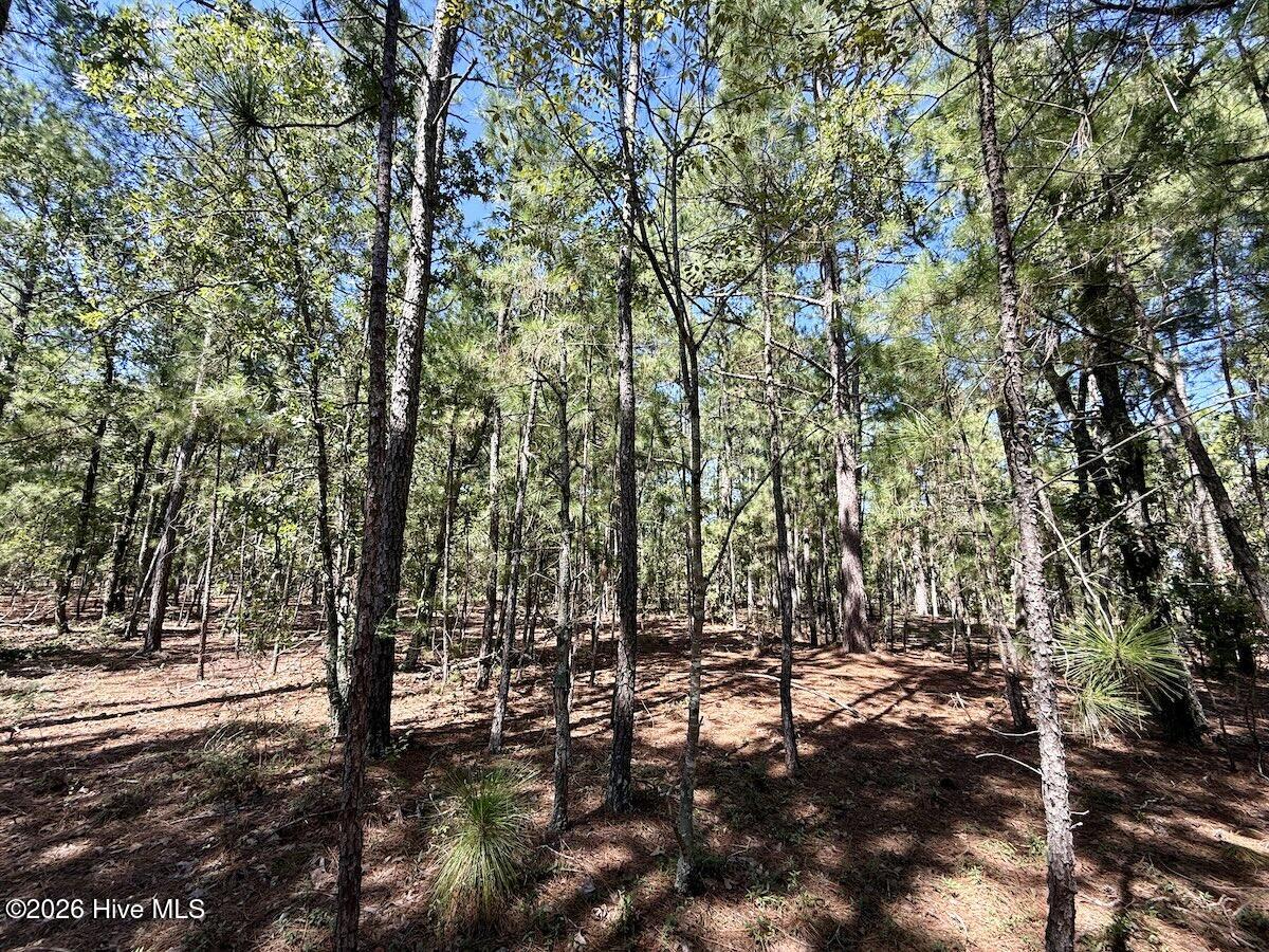 Lot 12 Marks Road Cameron, NC 28326 - Photo 18 of 24 16