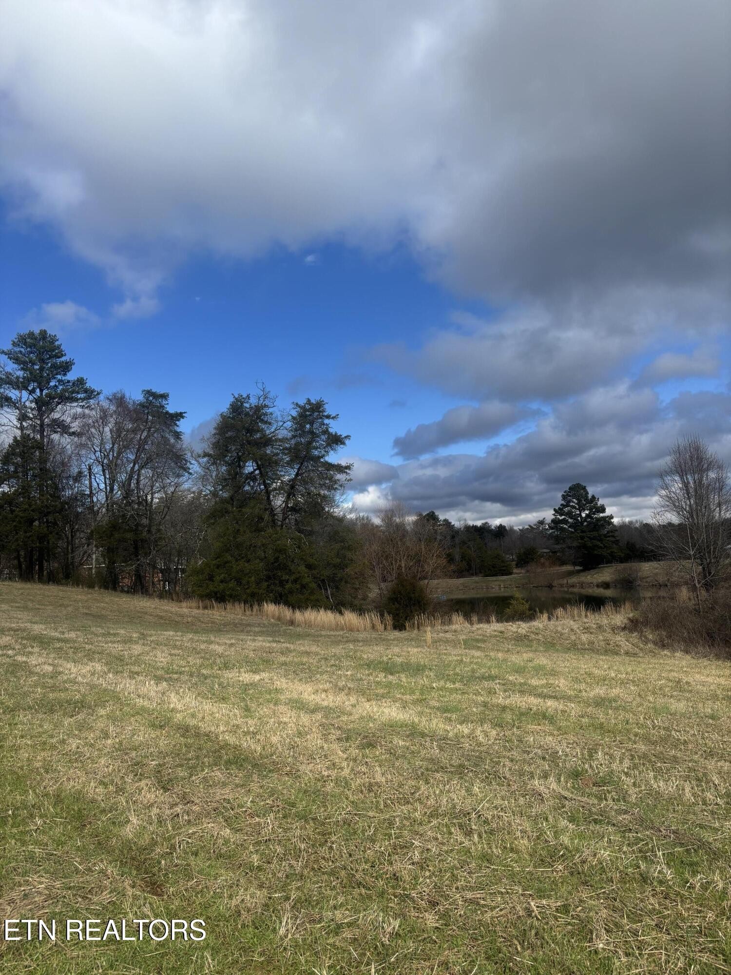 110 Peninsula Road Harriman, TN 37748 - Photo 3 of 5 Gallery Image 3
