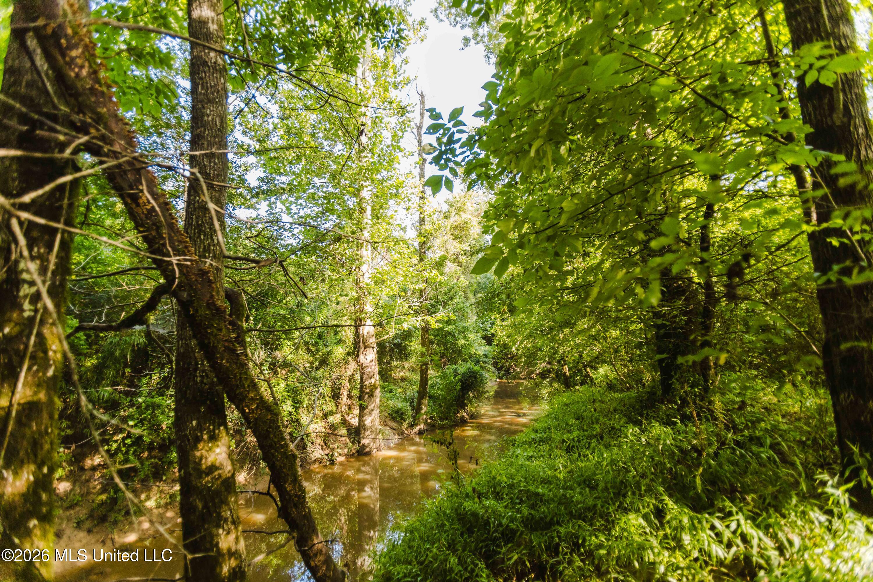 235 Woodrow Martin Road Brandon, MS 39042 - Photo 15 of 36 watsonphotography260721091041