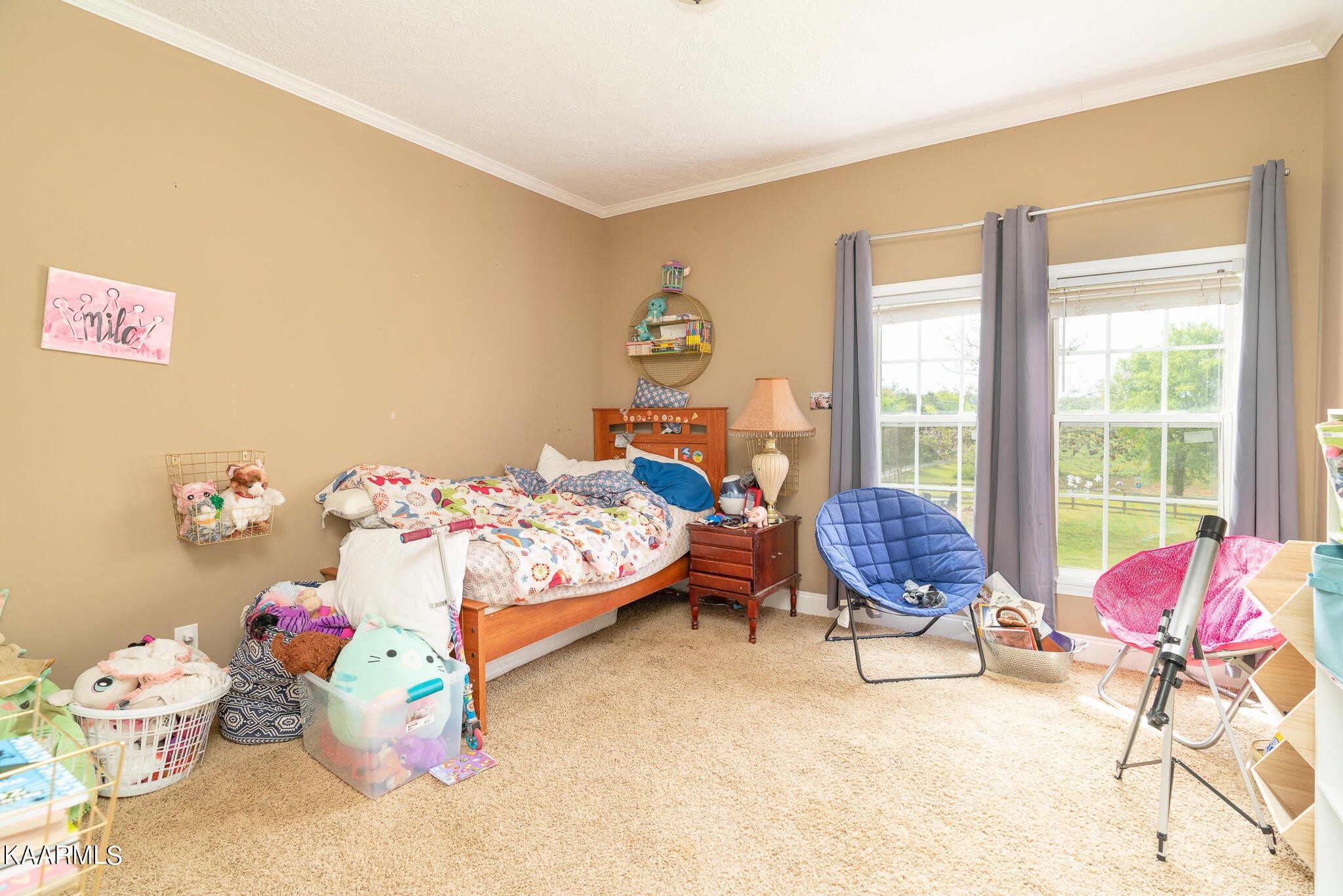 3115 Howell Road Mascot, TN 37806 - Photo 16 of 31 Gallery Image 16