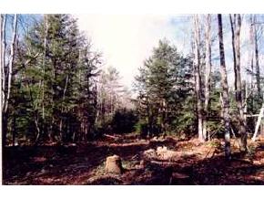 105 Valley Road Ossipee, NH 03814 - Photo 6 of 9
