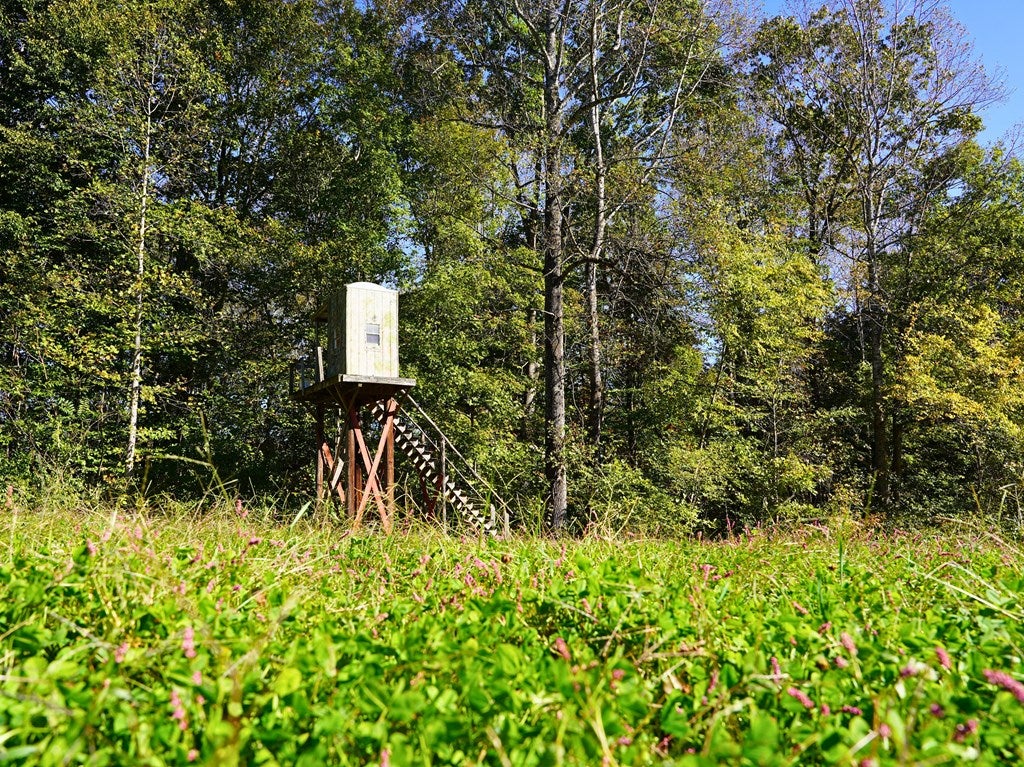 Tbd County Line Road Patrick Springs, VA 24133 - Photo 24 of 49 Gallery Image 24