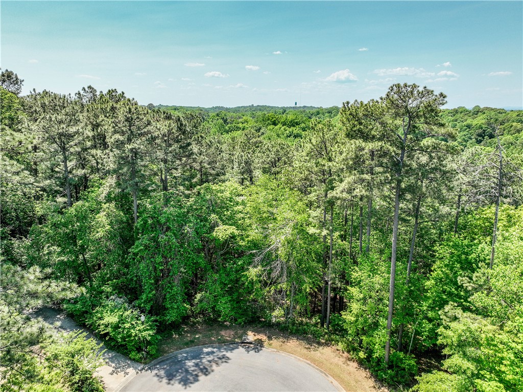 806 Bright Leaf Court Seneca, SC 29672 - Photo 14 of 32