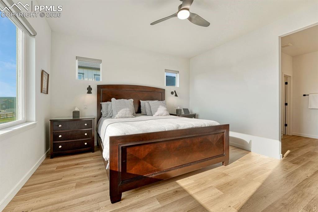 10108 Owl Perch Loop Colorado Springs, CO 80908 - Photo 18 of 49