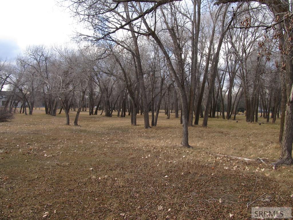 333 4440 East Rigby, ID 83442 - Photo 2 of 6