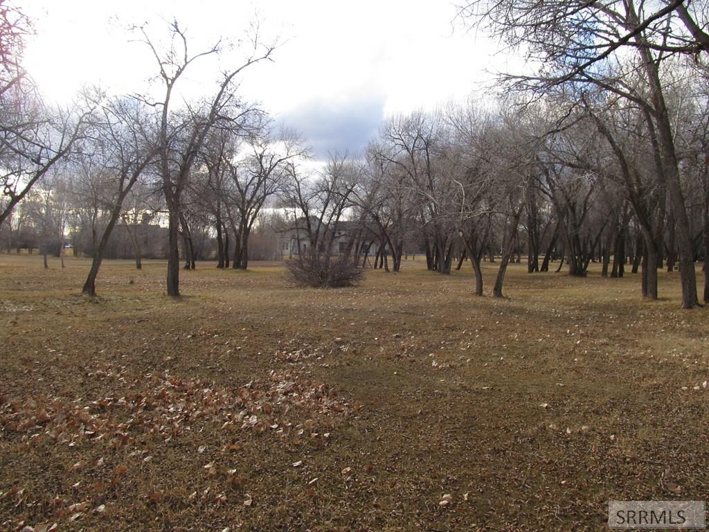 333 4440 East Rigby, ID 83442 - Photo 3 of 6