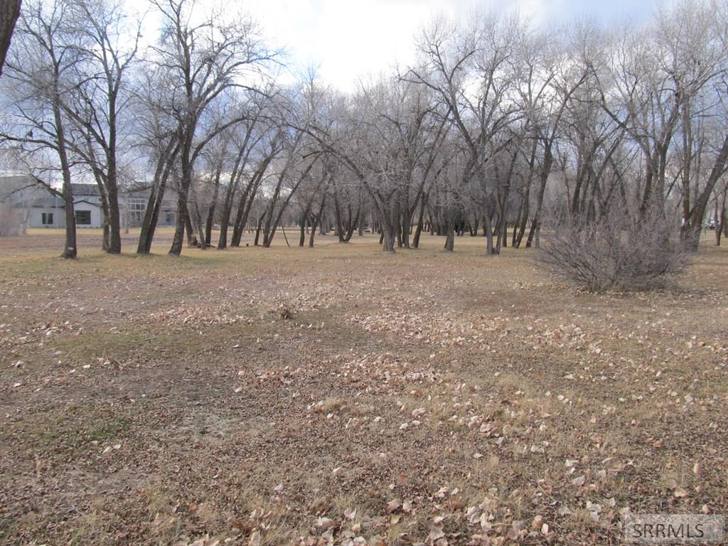 333 4440 East Rigby, ID 83442 - Photo 5 of 6