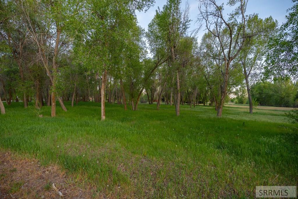 333 4440 East Rigby, ID 83442 - Photo 6 of 31