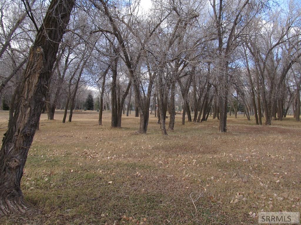 333 4440 East Rigby, ID 83442 - Photo 6 of 6