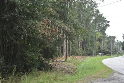 $75,000 | Lot 14 Tupperware Road, Hemingway, SC 29554