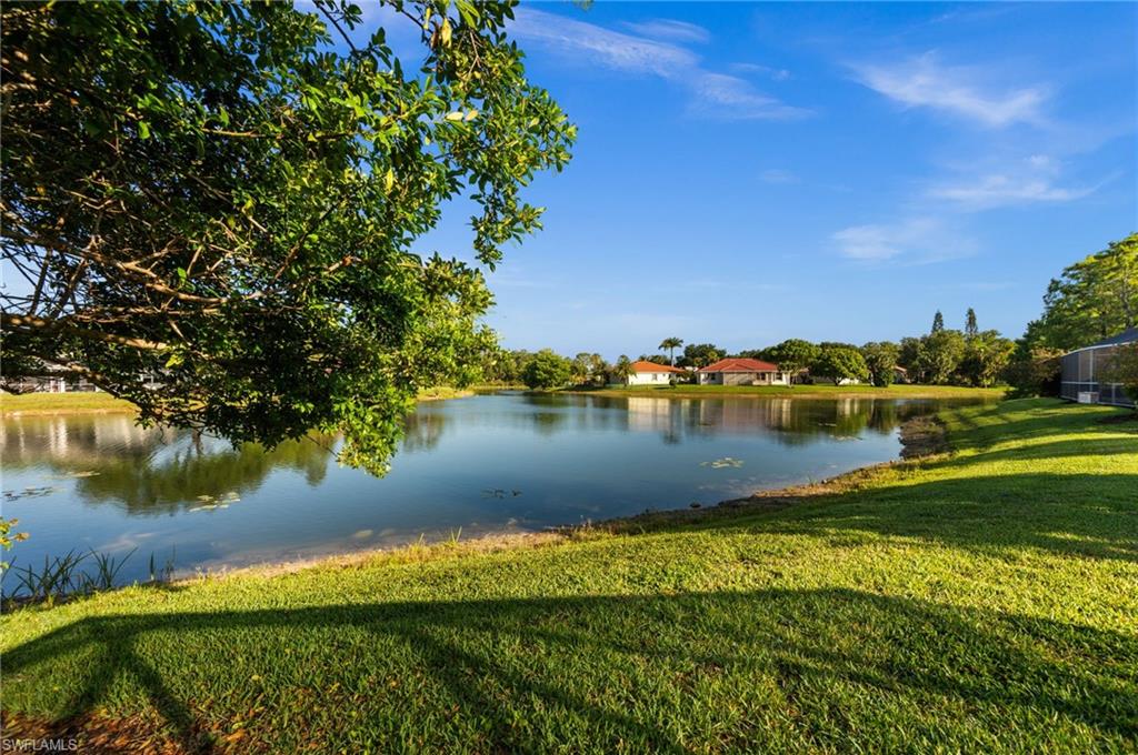 3972 Ruxton Road Naples, FL 34116 - Photo 38 of 41 a view of a lake with houses in the back