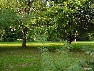 6620 Milford Road Highland, MI 48356 - Photo 1 of 1 BUILD YOUR DREAM HOME