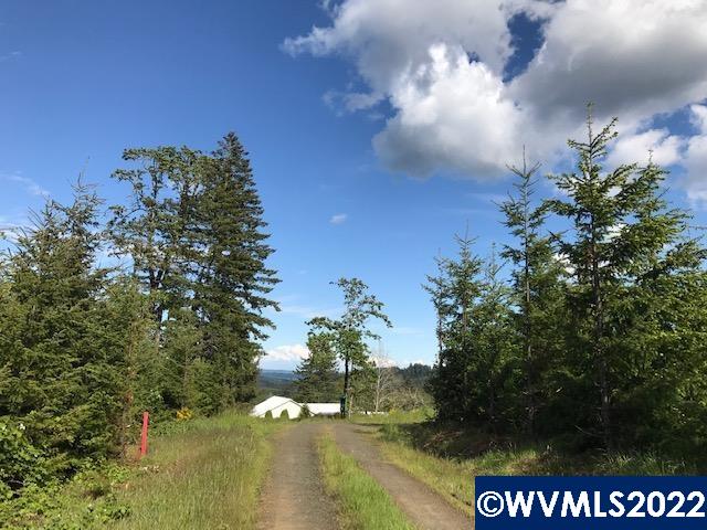 0 Old Military (frontage) Road Dallas, OR 97338 - Photo 10 of 12