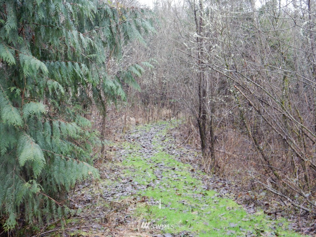 694 Evans Road Toledo, WA 98591 - Photo 20 of 22
