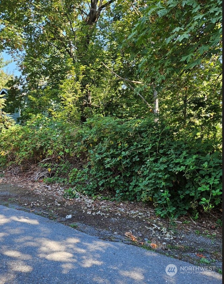 26618 221st Place Southeast Maple Valley, WA 98038 - Photo 1 of 12 a view of a yard with plants and large trees