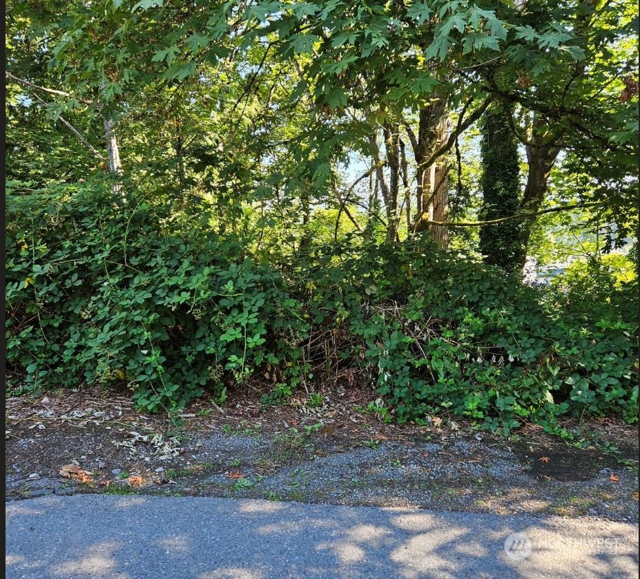 26618 221st Place Southeast Maple Valley, WA 98038 - Photo 2 of 12 a backyard of a house with lots of green space