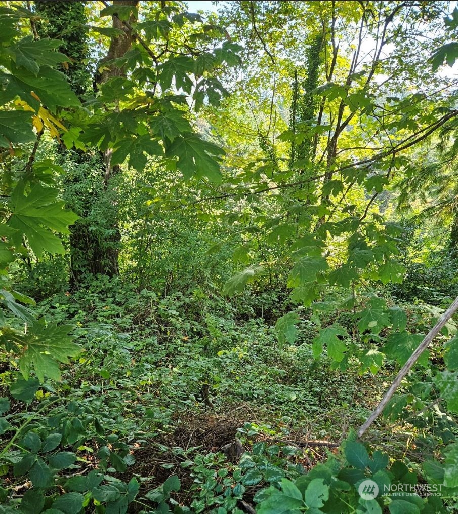 26618 221st Place Southeast Maple Valley, WA 98038 - Photo 3 of 12 a view of a lush green forest