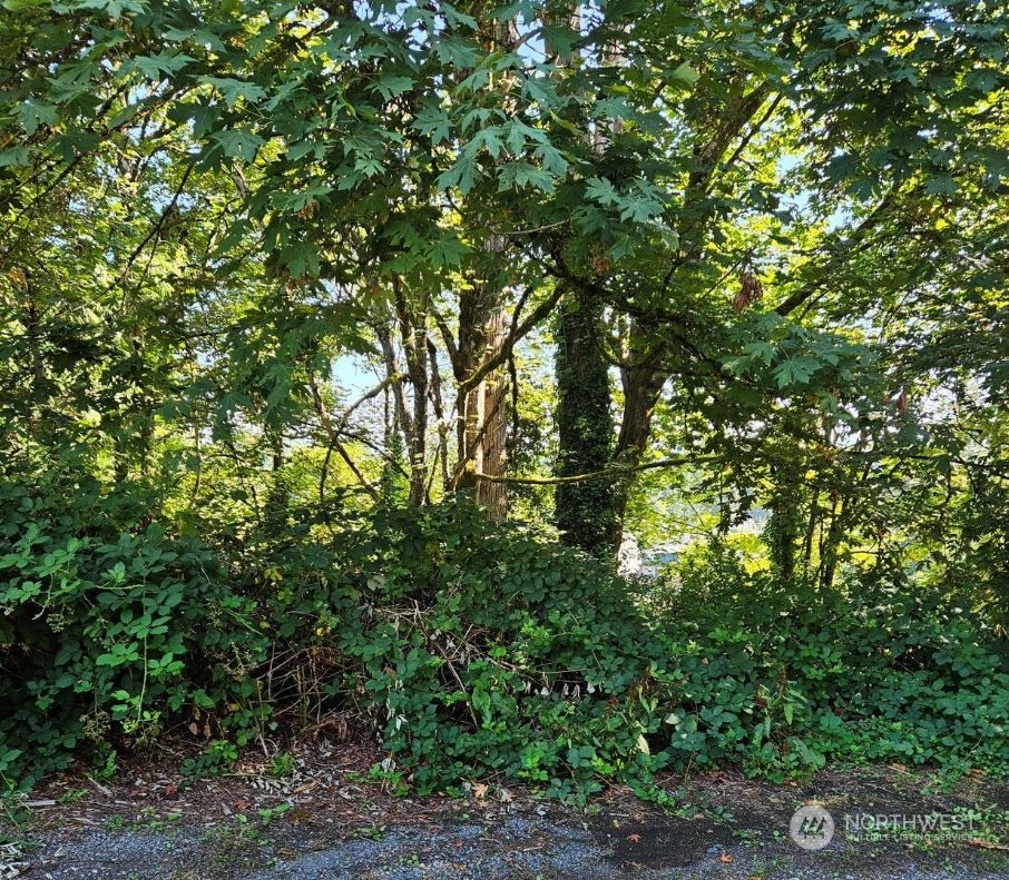 26618 221st Place Southeast Maple Valley, WA 98038 - Photo 7 of 12 a view of a tree in a yard
