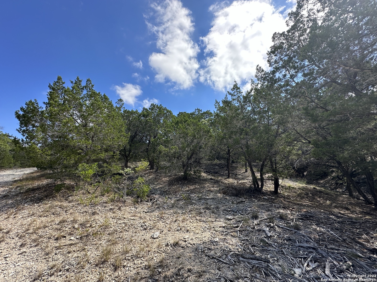 439 Private Road 180 Helotes, TX 78023 - Photo 2 of 15 a view of a forest with trees in the background