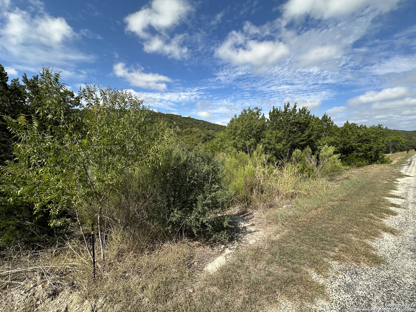 439 Private Road 180 Helotes, TX 78023 - Photo 6 of 15 a view of a yard with a tree in the background