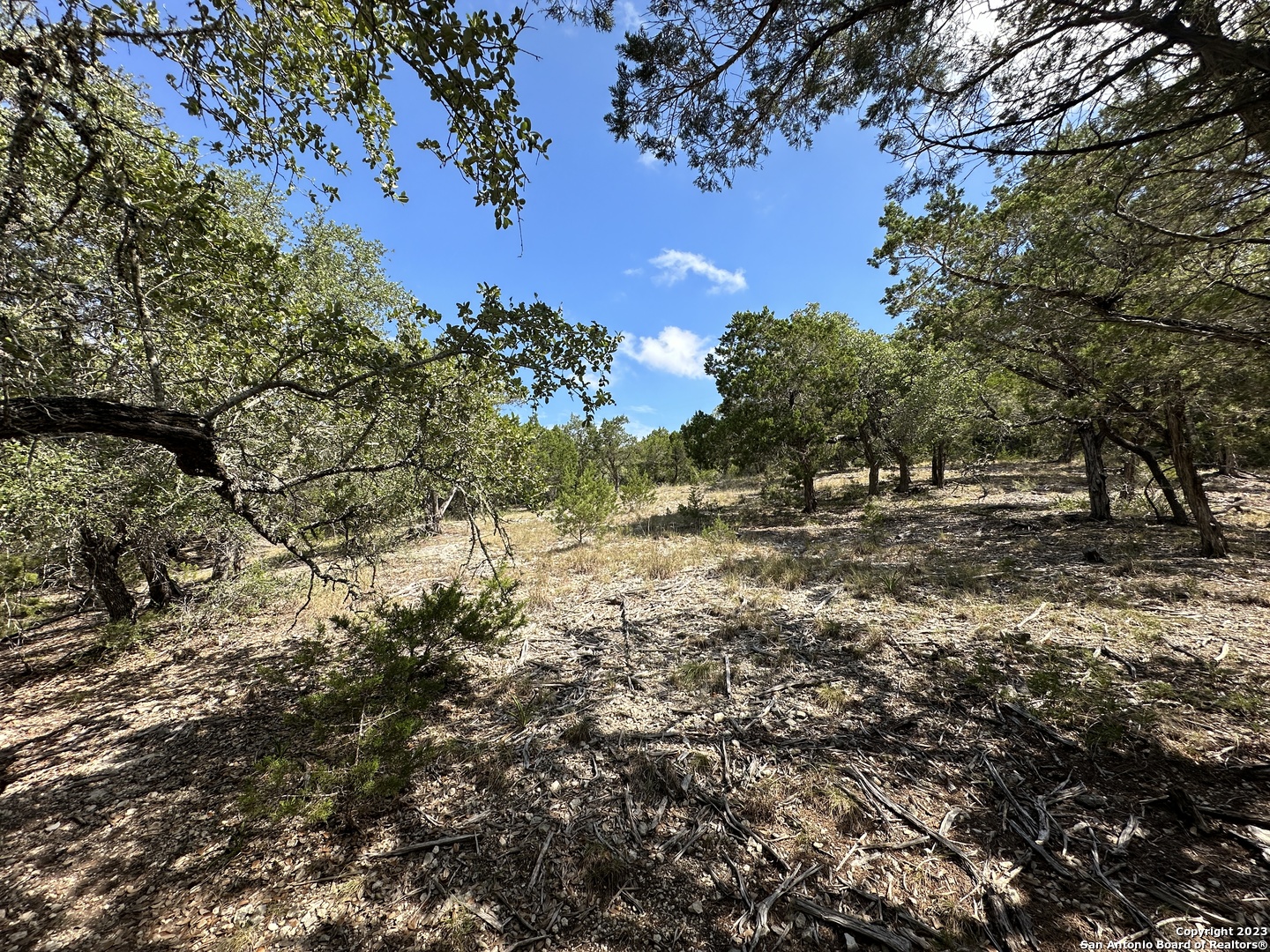 439 Private Road 180 Helotes, TX 78023 - Photo 8 of 15 a view of outdoor space with trees all around