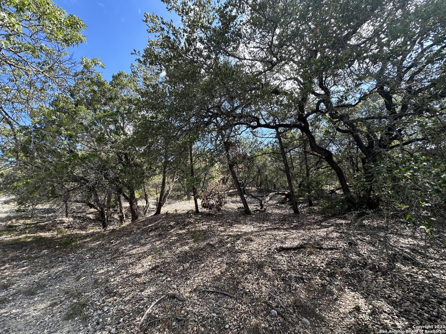 439 Private Road 180 Helotes, TX 78023 - Photo 10 of 15 a backyard of a house with lots of green space