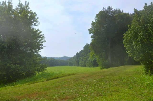 420 Jenkins Cemetery Road Centerville, TN 37033 - Photo 14 of 20 Gallery Image 14