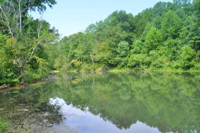 420 Jenkins Cemetery Road Centerville, TN 37033 - Photo 15 of 20 Gallery Image 15