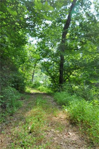 420 Jenkins Cemetery Road Centerville, TN 37033 - Photo 16 of 20 Gallery Image 16