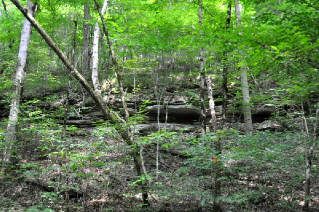 420 Jenkins Cemetery Road Centerville, TN 37033 - Photo 18 of 20 Gallery Image 18